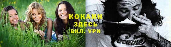 mdpv Алексин